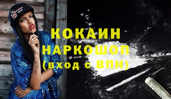 spice Краснослободск