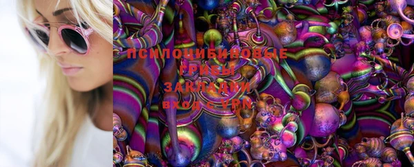 spice Краснослободск