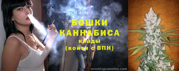 spice Краснослободск