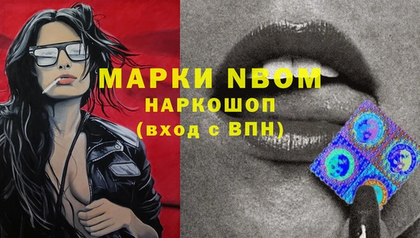spice Краснослободск